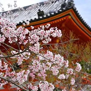 Sakura Gion North Kyōto